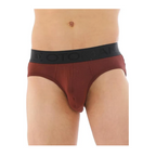 OTOMAN Bamboo Briefs for Men (Pack of 4)