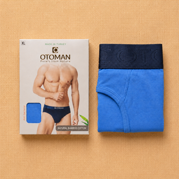 Briefs