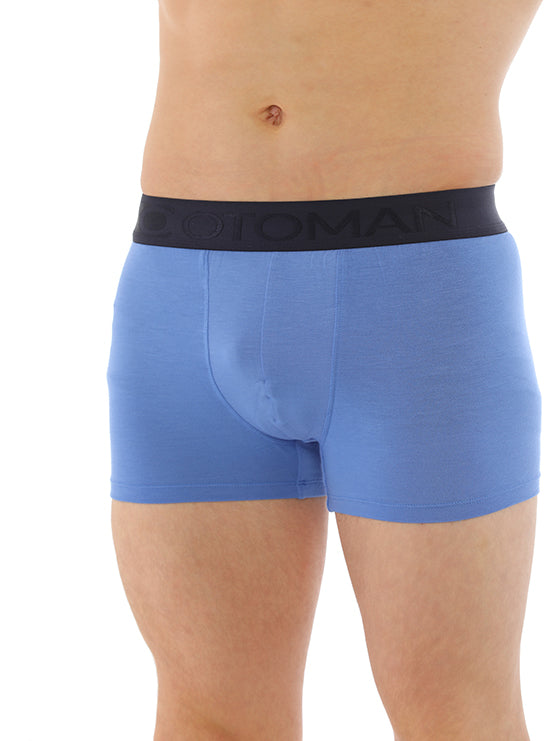 Otoman Solid Trunk - Blue